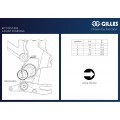 Gilles RCT10GT Rearsets for the Kawasaki Z900RS / CAFE Gilles RCT10GT Rearsets for the Kawasaki Z900RS / CAFE